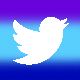 Catie-Twitter